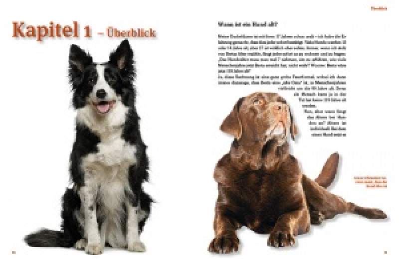 Preview: Hunde-Rentner
